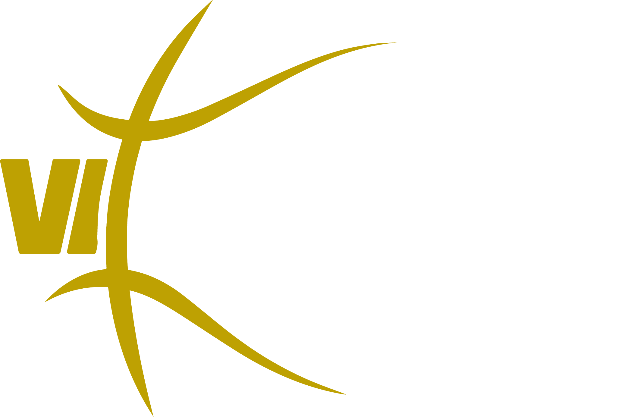 VIMODROM Baskets Logo